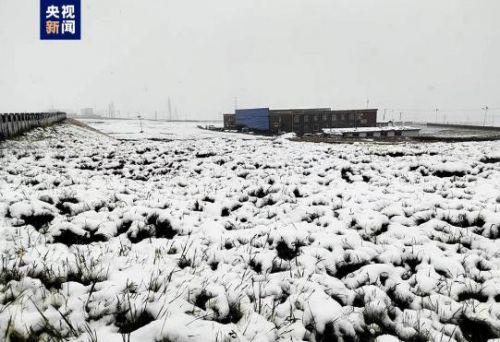 天呐！这里下！雪！了！贵州的天气接下来是酱紫的→