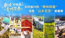 数读“十四五”贵州答卷丨乡村振兴的“贵州样板”
