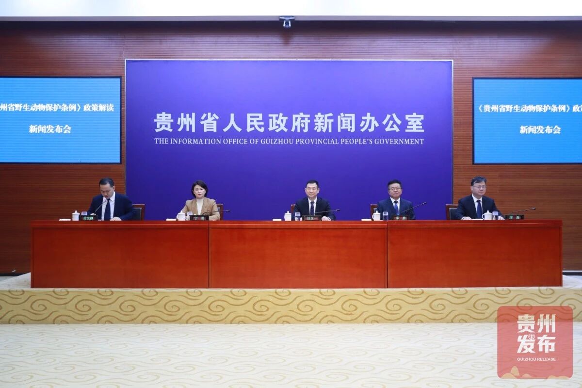 05bb011631930135b5995f4508f787f2