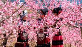 不负春光不负卿！贵州开启“花样”模式