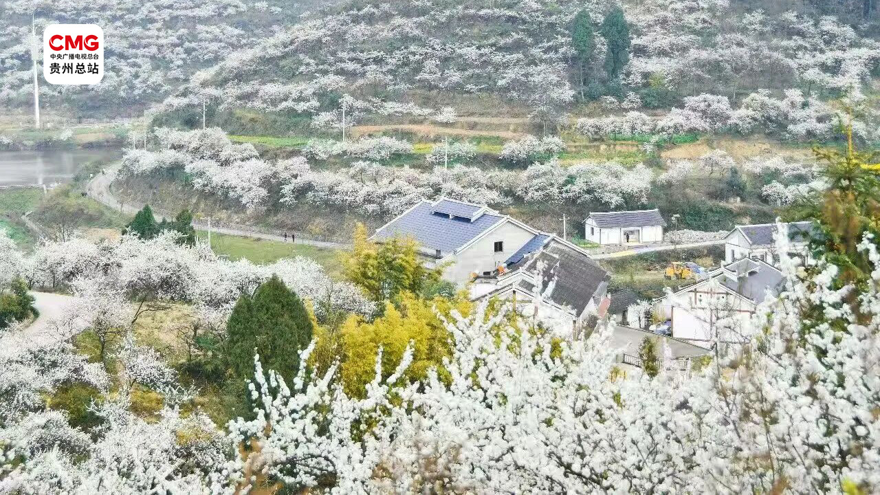 44e6607ee985437da6458725ea67542a