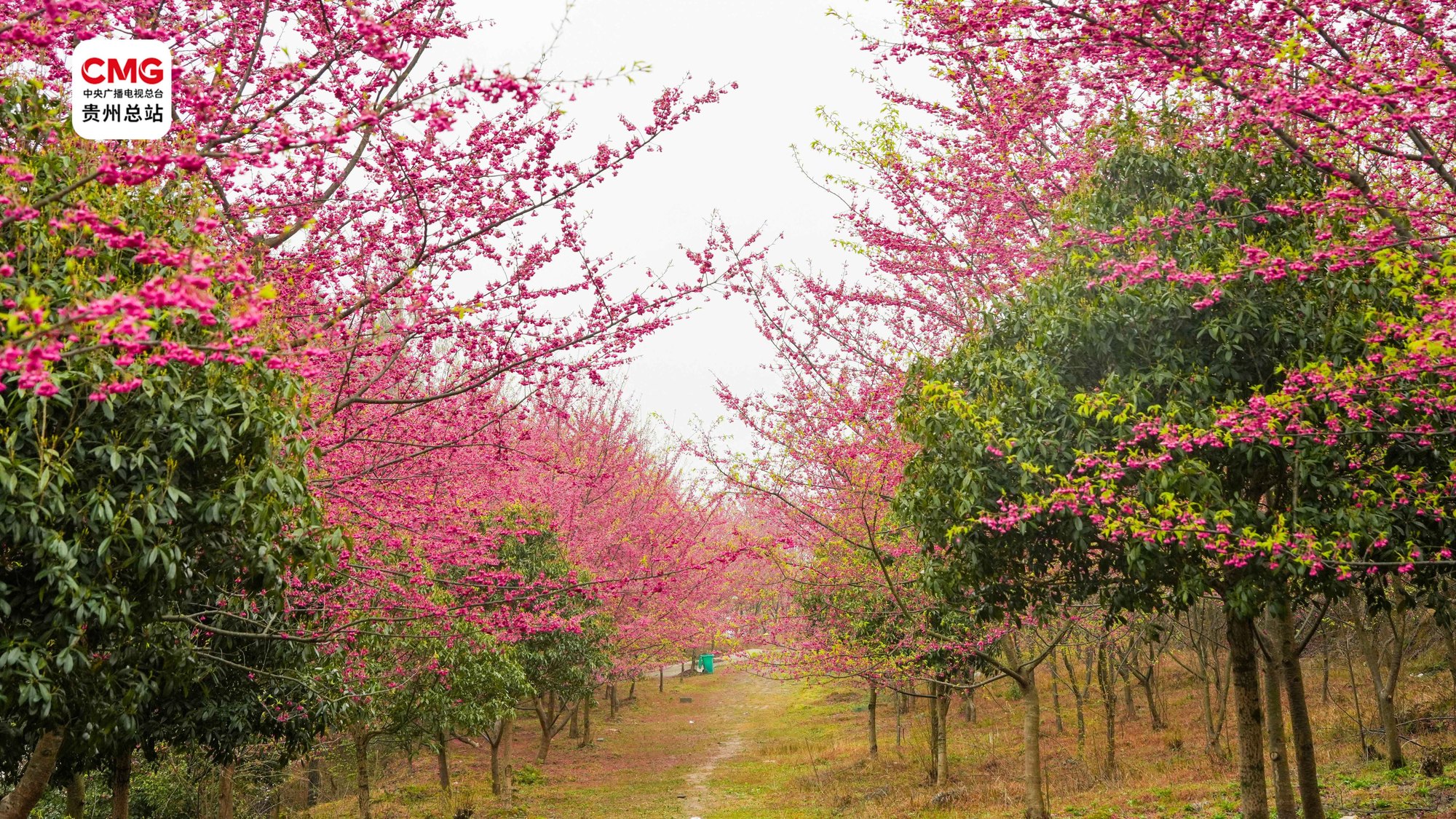 934f6cbe70cd41be87530622f6c325ad