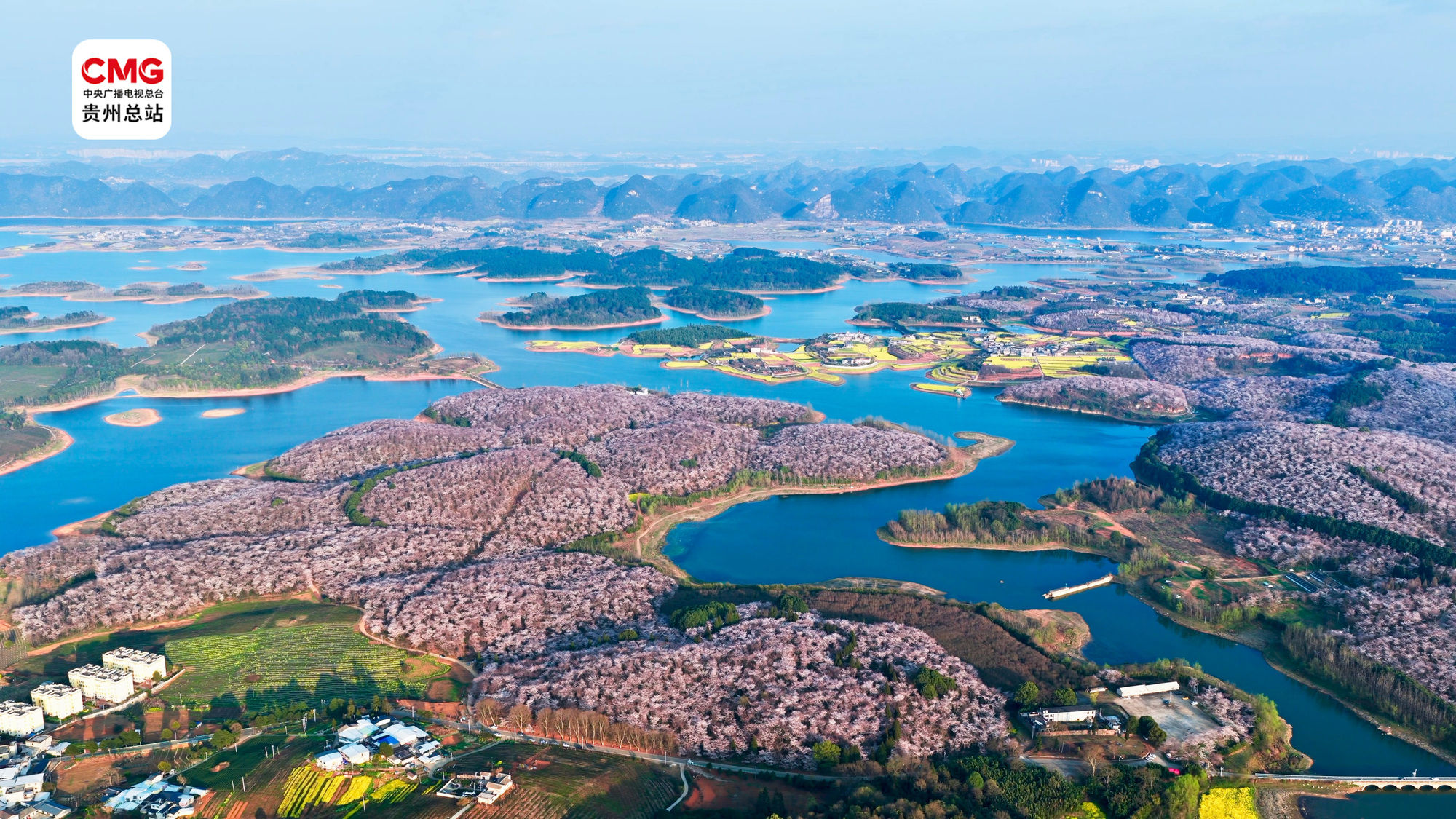 9c10c1d2692245c6ab7c7bc518446f0d