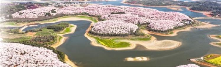 花漾貴州上春山