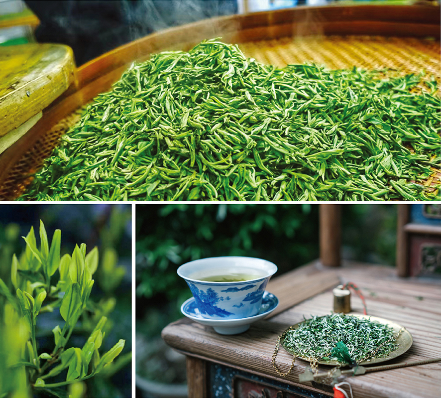 6391115373783551176907380