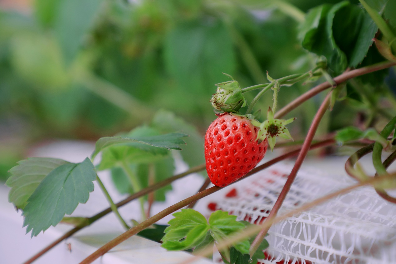 7d94d45db612ea77153b8660200506a0