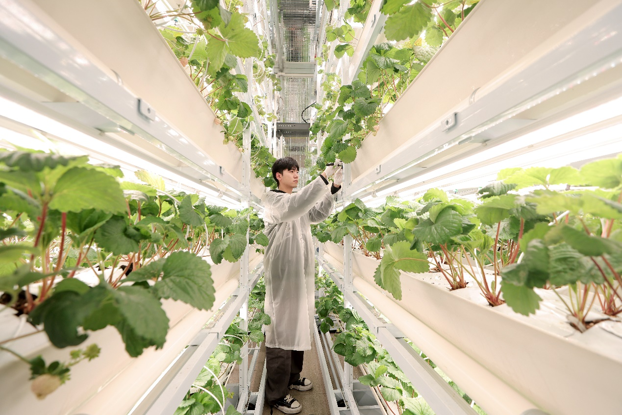 caba69afb833c5e366fae5a9008e9823