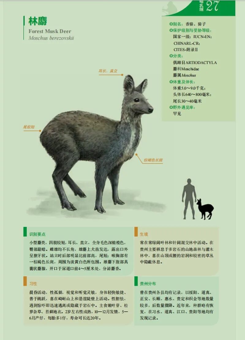 e0bfd5ac63c5c382659c5d44b74e06d3