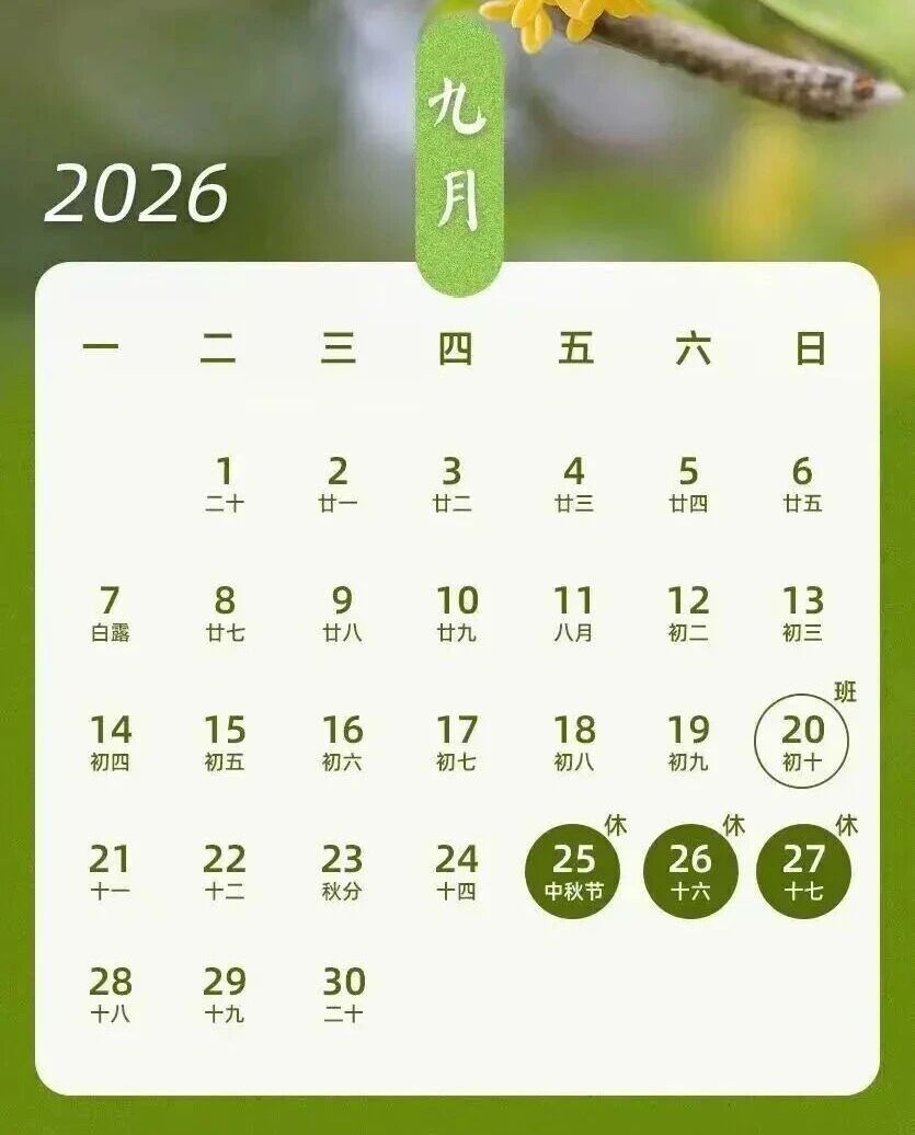 0d20aba8575e0427a012da87c03ede01